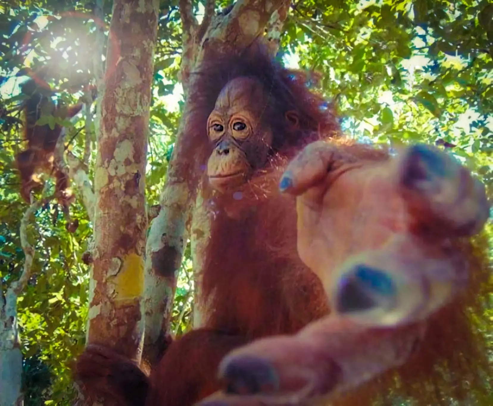 back to scripting for automation